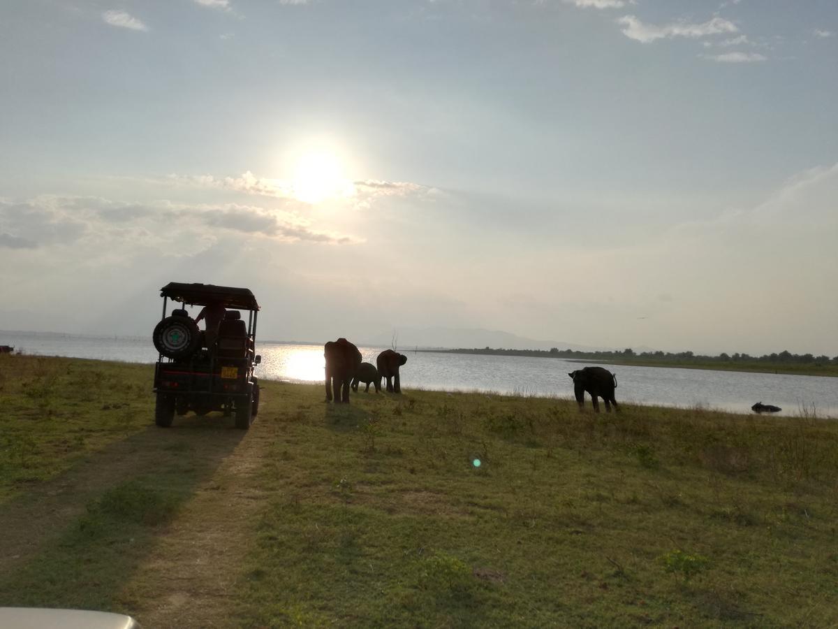 Induwara Safari Resort 우다왈라웨 외부 사진